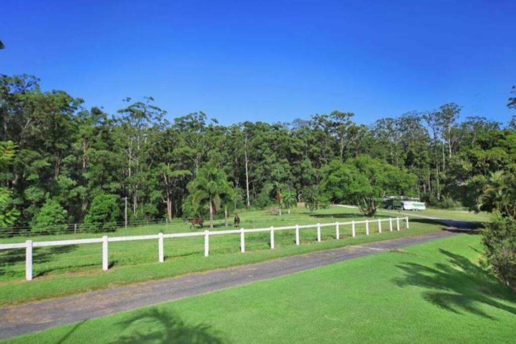 Cabin Country Retreat Paskins Farm Palmwoods Exterior photo